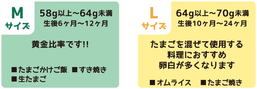 たまごのサイズ別オススメ料理