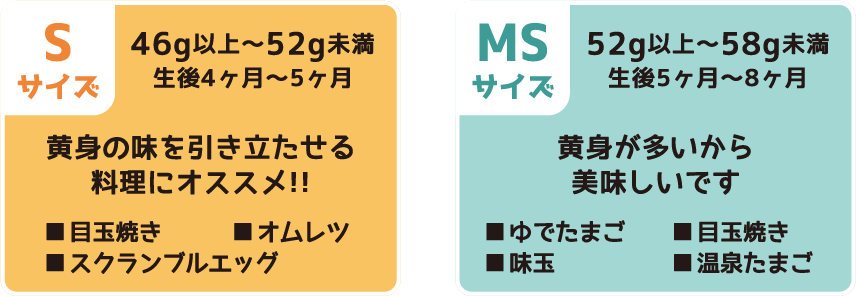 たまごのサイズ別オススメ料理